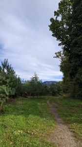 Sur le chemin du retour