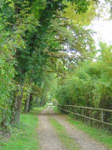 Une partie ombragée du sentier