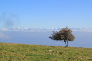 À couper le souffle...