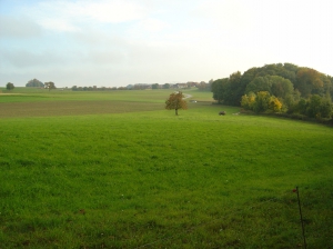 Le village de Rovray