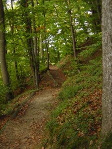 Le sentier accédant à la Roche de la Baume