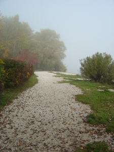 Au départ de Colombier, un matin de brume