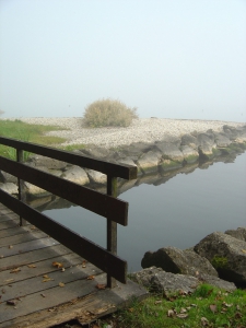 Entre Colombier et Auvernier, par temps brumeux