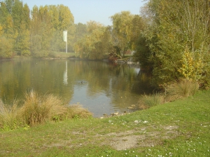 Etang juste à côté du port