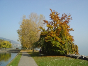 La jetée du port d'Auvernier