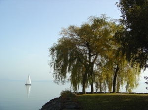 Coup d'œil sur le lac de Neuchâtel (par temps brumeux)