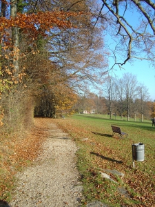 Chemin longeant la lisière