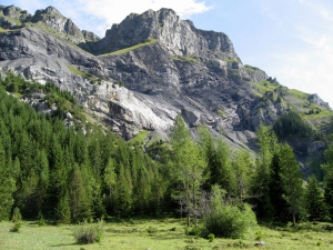 Zahlershorn