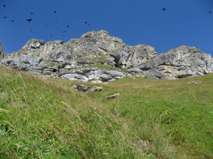 Au-dessus du sentier les choucas