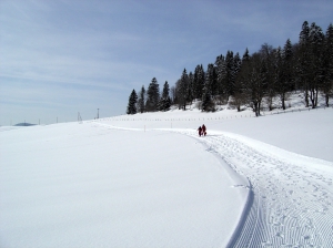 Le chemin damé