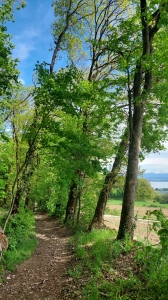 Joli sentier, le long de la boucle de Colombier