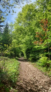 En suivant la boucle de Bôle