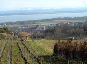 Vue sur le château de Colombier