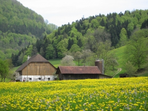 Ferme à Pontoye