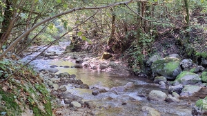 La Serine