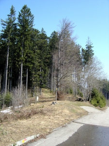 Le départ du sentier botanique forestier du Gibloux