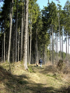 Le sentier botanique du Gibloux