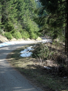 La route entre le parking et la tour