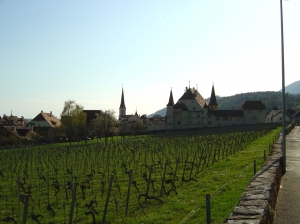 Retour sur Cressier au soleil couchant