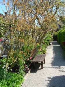 Une allée, dans le jardin des cinq sens