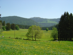 En pleine nature, entre St-Olivier et la grotte