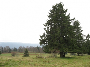 Paysage du Jura