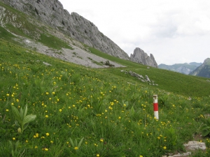 Piquet repère du sentier