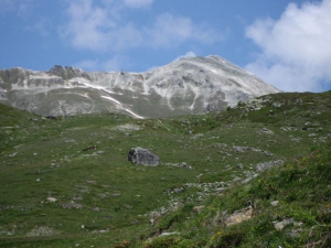 Bella Tola