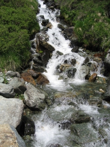 Torrent