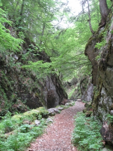 Bas du sentier