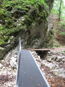 Petit pont sur le ruisseau