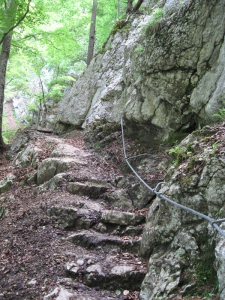 Sentier sécurisé après les échelles