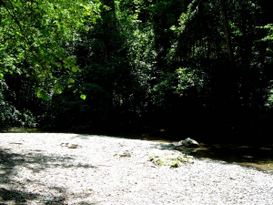 Une petite plage de galets, au bord de la Venoge