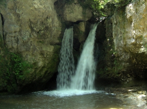 La Tine de Conflens