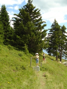 Une barrière à vaches à franchir