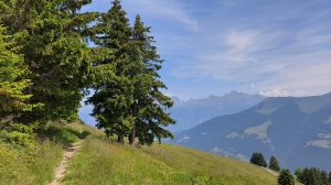 Joli sentier, avant de redescendre