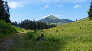 Jolie vallée, à mi-parcours