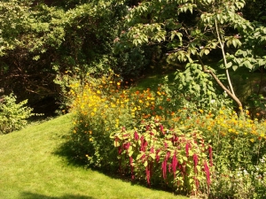 Un massif de fleurs