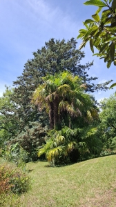 Jardin botanique de St-Triphon