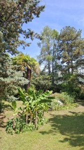 Au jardin botanique