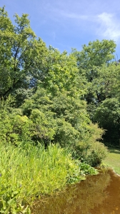Au jardin botanique