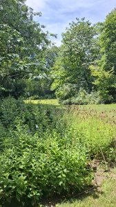 Au jardin botanique