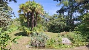 Le magnifique jardin botanique de St-Triphon