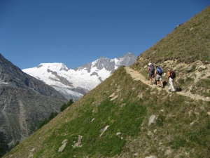  Sentier des fleurs alpines, Alphubel et Mischabel