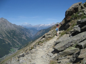 Sentier des fleurs alpines