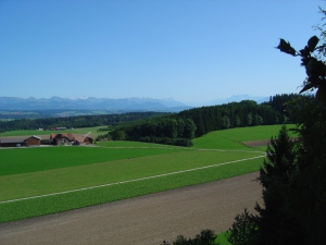 Vue depuis le Donjon