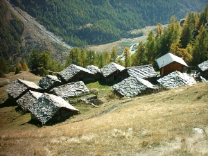 l'alpage en-dessous d'une des place pique-nique avec la vue sur l'étang de Pramousse