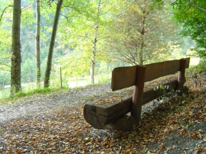 Un banc, le long du bisse