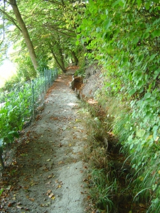 Sentier du bisse