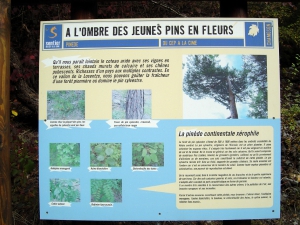 Panneau bordant le sentier Du Cep à La Cime